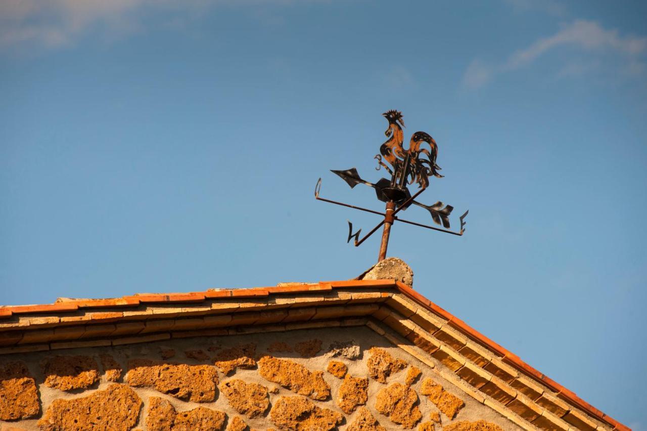 Agriturismo Cerqueto Акуапенденте Екстериор снимка