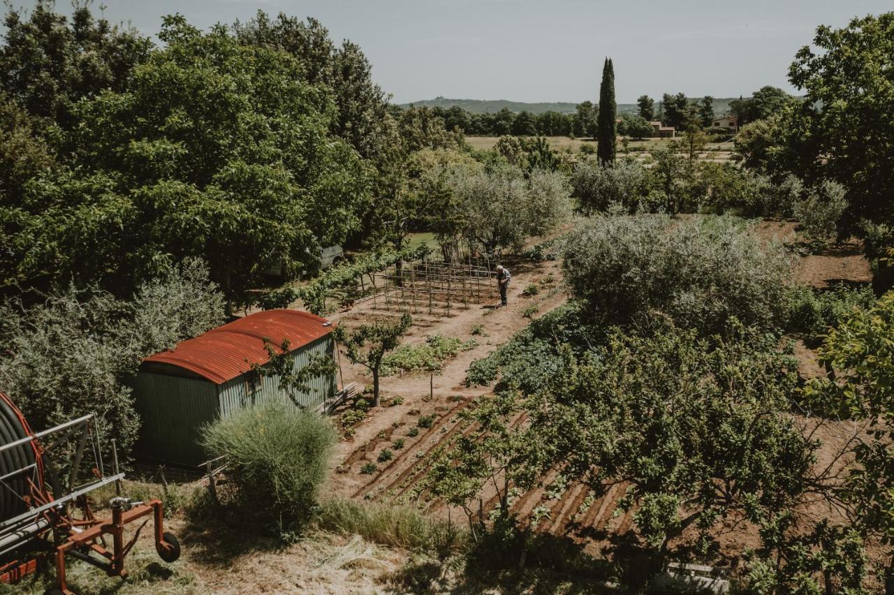 Agriturismo Cerqueto Акуапенденте Екстериор снимка