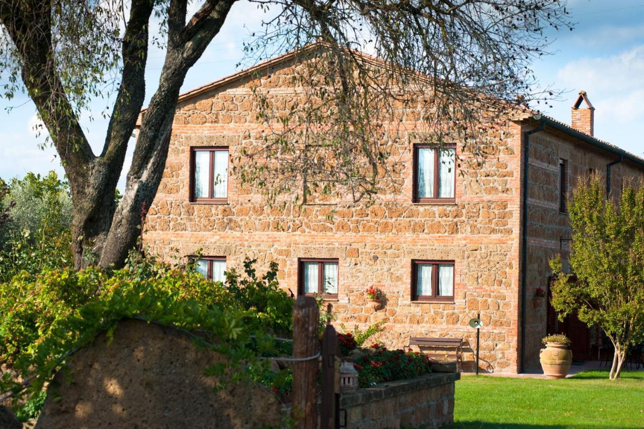 Agriturismo Cerqueto Акуапенденте Екстериор снимка